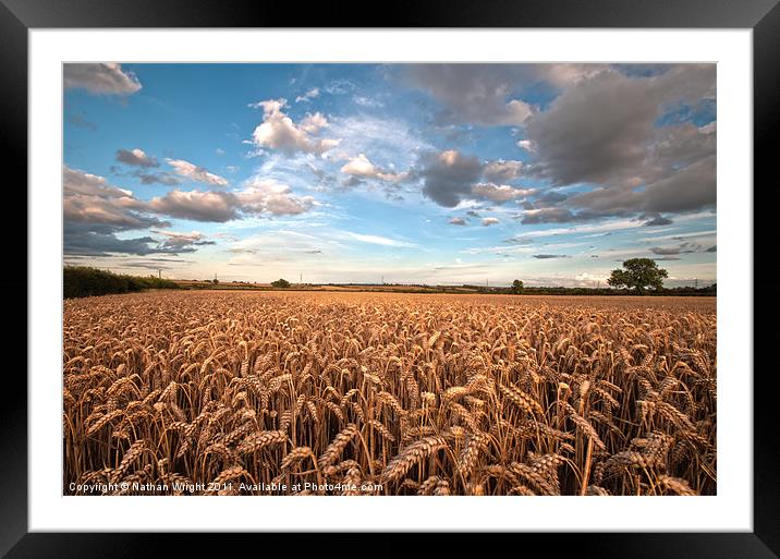 Summer field. Framed Mounted Print by Nathan Wright