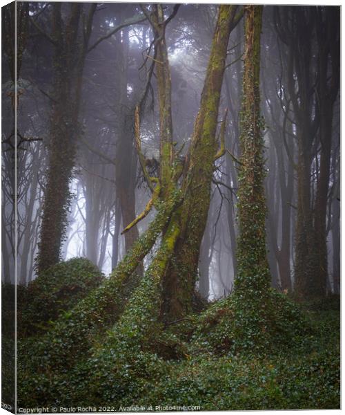 Foggy forest with fallen tree Canvas Print by Paulo Rocha