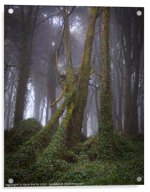 Foggy forest with fallen tree Acrylic by Paulo Rocha
