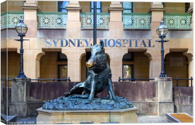 Hog Statue outside Sydney Hospital, Sydney, NSW, New South Wales Canvas Print by Kevin Hellon
