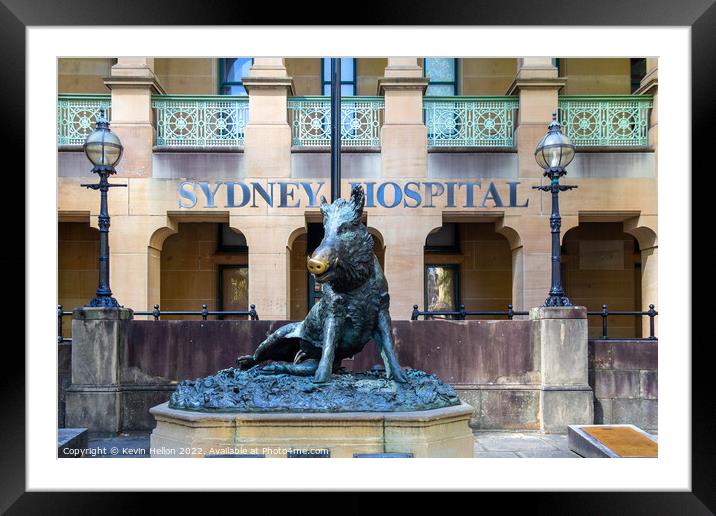 Hog Statue outside Sydney Hospital, Sydney, NSW, New South Wales Framed Mounted Print by Kevin Hellon
