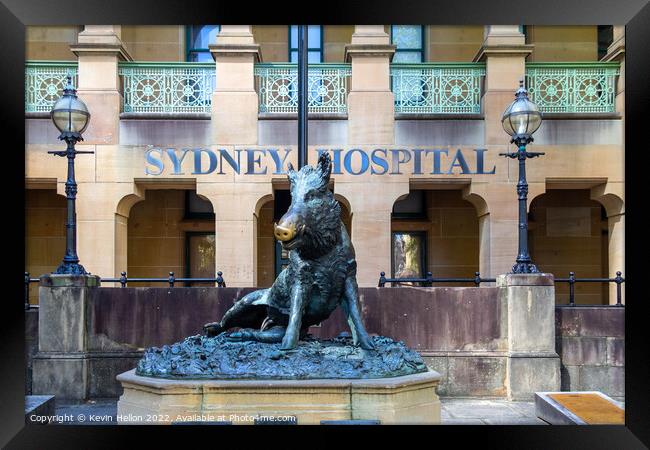 Hog Statue outside Sydney Hospital, Sydney, NSW, New South Wales Framed Print by Kevin Hellon