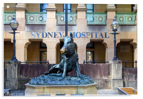 Hog Statue outside Sydney Hospital, Sydney, NSW, New South Wales Acrylic by Kevin Hellon