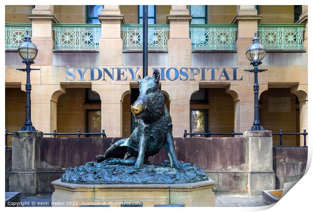 Hog Statue outside Sydney Hospital, Sydney, NSW, New South Wales Print by Kevin Hellon