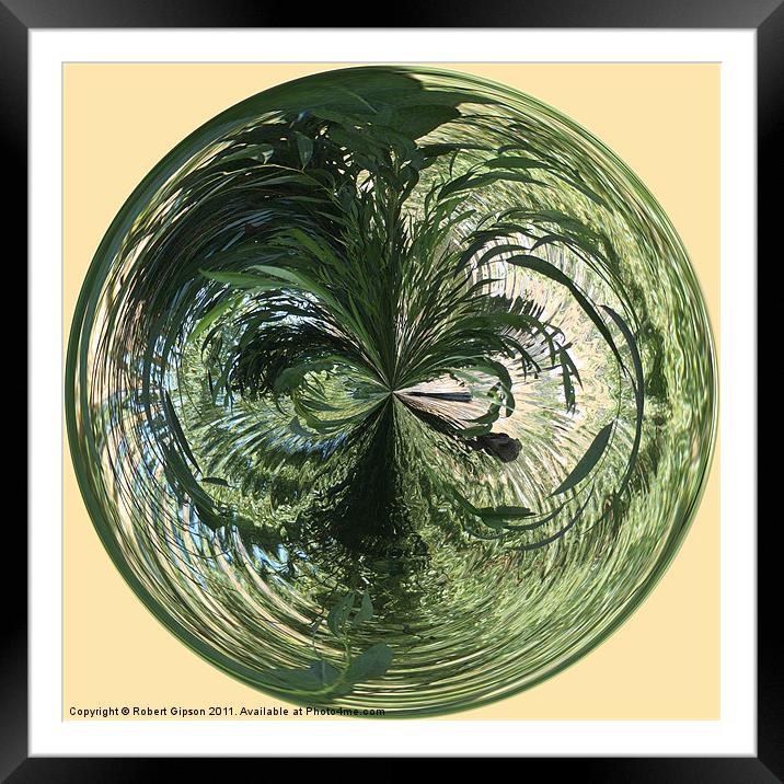 Spherical Paperweight at the Pond Framed Mounted Print by Robert Gipson