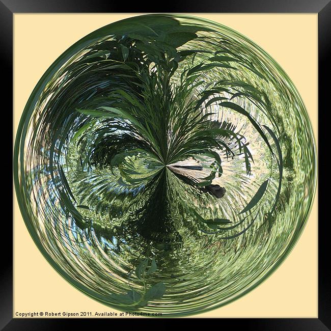 Spherical Paperweight at the Pond Framed Print by Robert Gipson