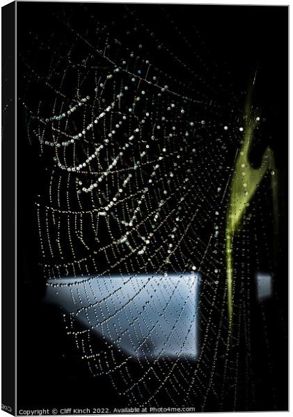 Dewdrops clinging to a cobweb Canvas Print by Cliff Kinch