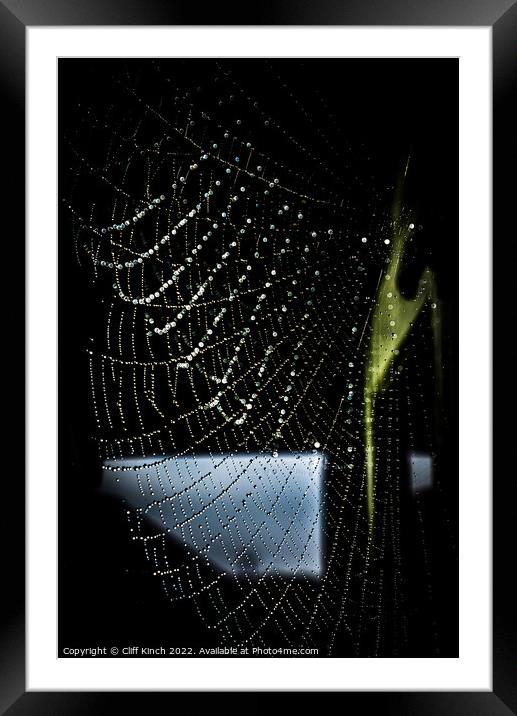 Dewdrops clinging to a cobweb Framed Mounted Print by Cliff Kinch