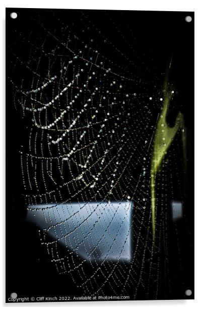 Dewdrops clinging to a cobweb Acrylic by Cliff Kinch
