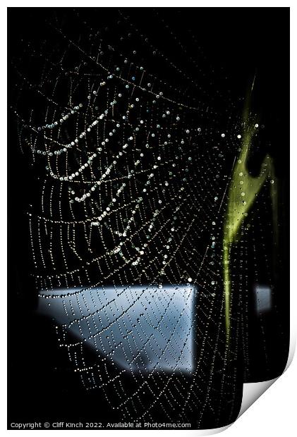 Dewdrops clinging to a cobweb Print by Cliff Kinch