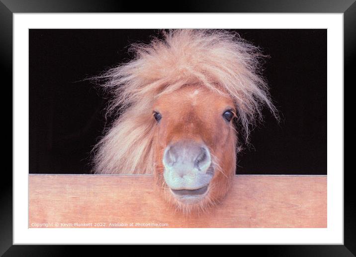 Pony in stable Framed Mounted Print by Kevin Plunkett