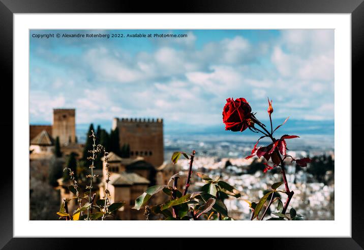 View on the Alhambra and the city of Granada in Andalusia, Spain Framed Mounted Print by Alexandre Rotenberg