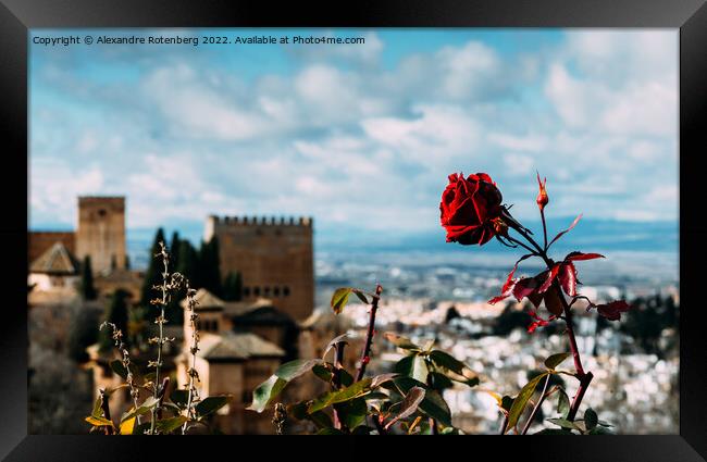 View on the Alhambra and the city of Granada in Andalusia, Spain Framed Print by Alexandre Rotenberg