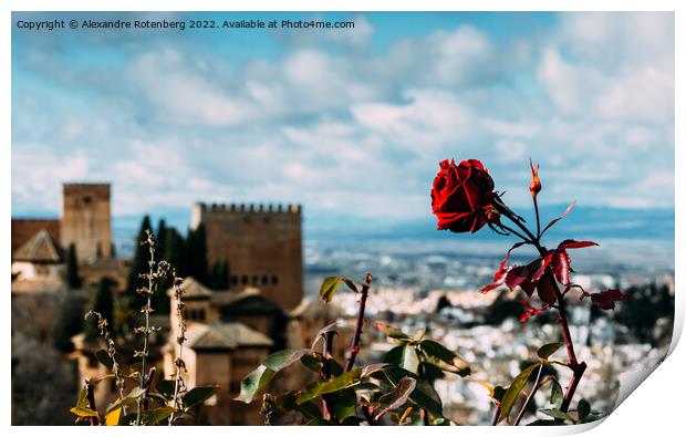 View on the Alhambra and the city of Granada in Andalusia, Spain Print by Alexandre Rotenberg