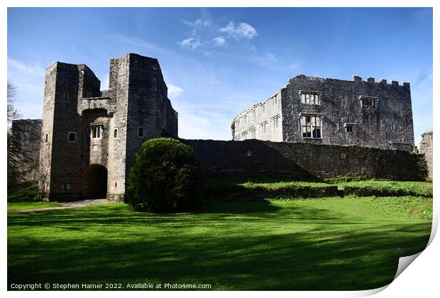 Berry Pomeroy Castle Print by Stephen Hamer