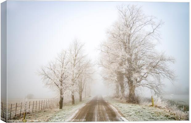 Frosted Trees Canvas Print by Jon Pear