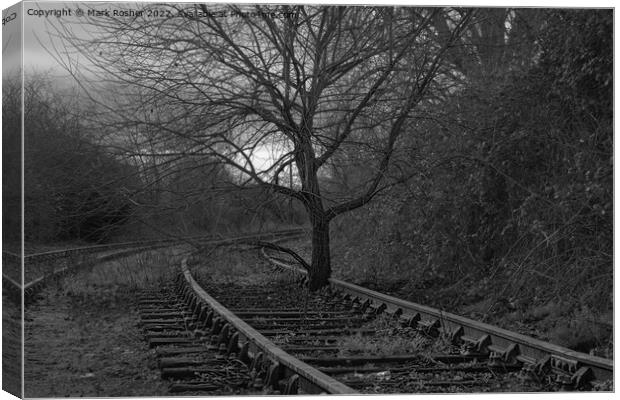 The Leaves on the Line got Bigger! Canvas Print by Mark Rosher