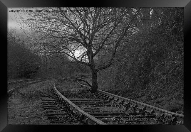 The Leaves on the Line got Bigger! Framed Print by Mark Rosher