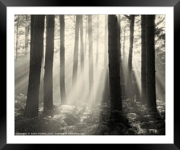 Forest Sunbeams Sepia Framed Mounted Print by Justin Foulkes