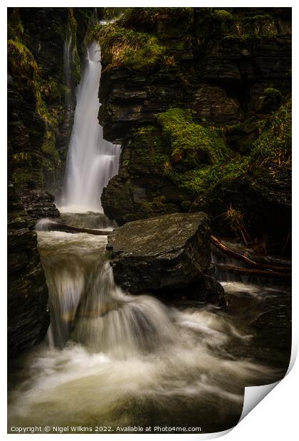 Outdoor water Print by Nigel Wilkins