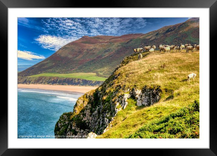 Clifftop Grazing Framed Mounted Print by Roger Mechan