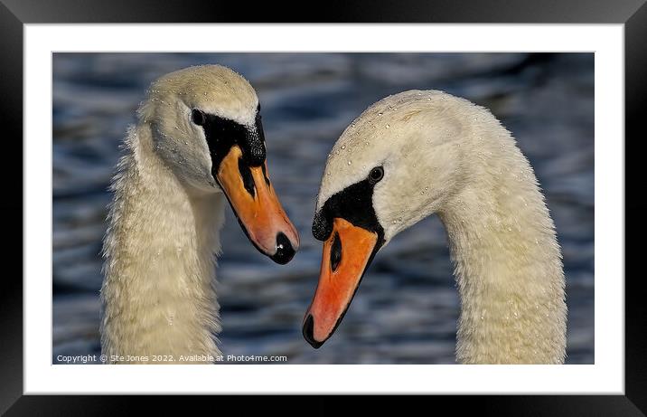 Shimmering Jewels On Feathers Framed Mounted Print by Ste Jones