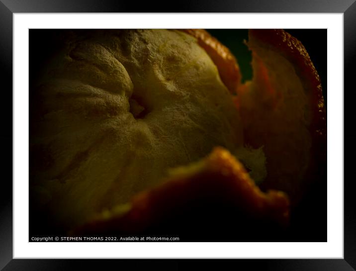 Peeled and Revealed Framed Mounted Print by STEPHEN THOMAS