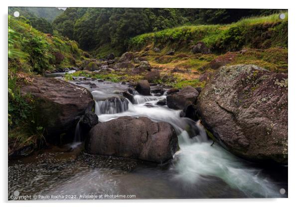 Faial da Terra creek, São Miguel, Azores Acrylic by Paulo Rocha