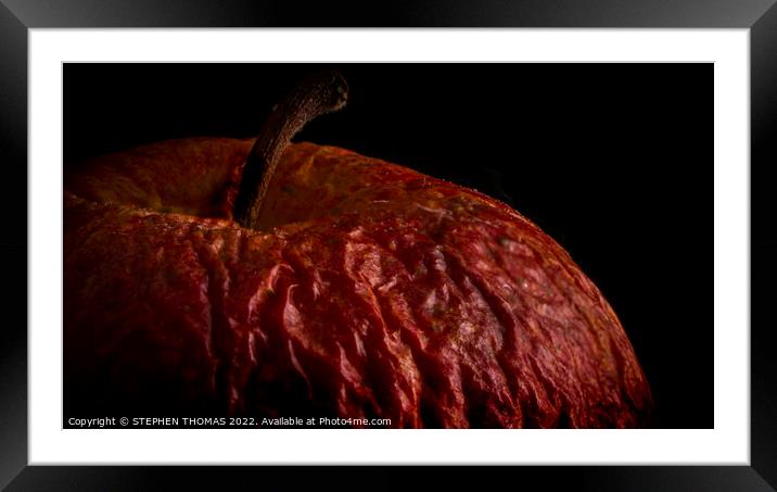 Wrinkled Apple Framed Mounted Print by STEPHEN THOMAS