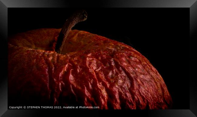 Wrinkled Apple Framed Print by STEPHEN THOMAS