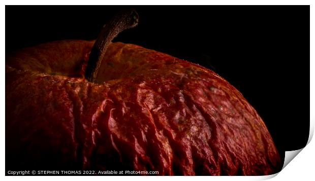 Wrinkled Apple Print by STEPHEN THOMAS