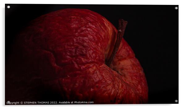 Wrinkled Apple 2 Acrylic by STEPHEN THOMAS