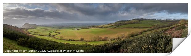 Panorama in East Devon Print by Jim Butler