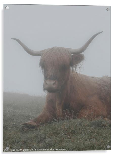 Highland mist Acrylic by Jim Butler