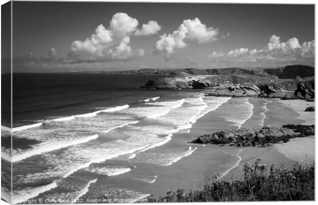 Newquay beaches Canvas Print by Chris Rose