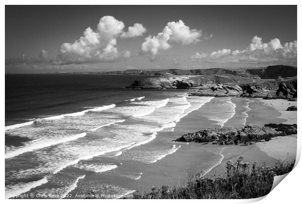 Newquay beaches Print by Chris Rose