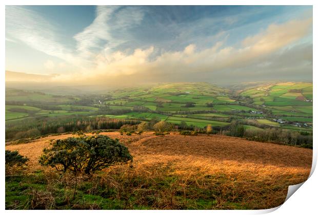 The green fields of Brecon Print by Leighton Collins