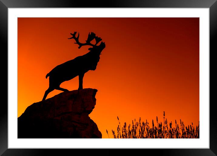 Beaumont-Hamel Newfoundland Memorial Framed Mounted Print by Arterra 