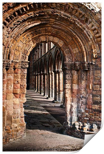 Inside Jedburgh Abbey Print by Keith Thorburn EFIAP/b