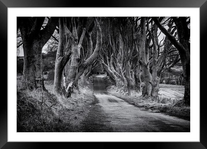 The Dark Hedges Black and White County Antrim Northern Ireland Framed Mounted Print by Chris Curry