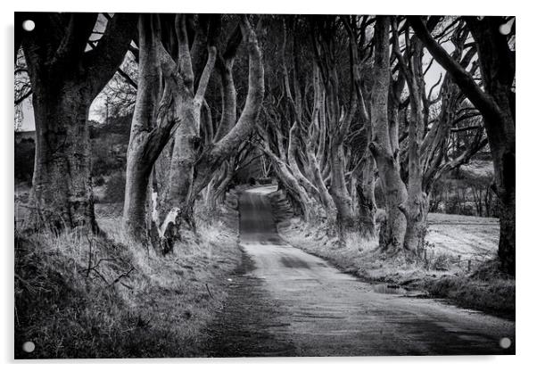 The Dark Hedges Black and White County Antrim Northern Ireland Acrylic by Chris Curry