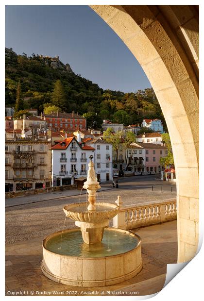 Majestic Fountain at Sintra Palace Print by Dudley Wood