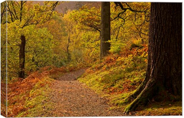 Autumn Woodland Walk at Ullswater Canvas Print by Martyn Arnold