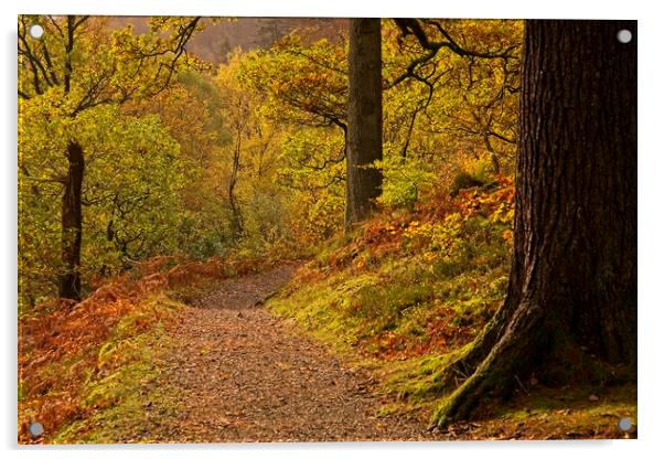 Autumn Woodland Walk at Ullswater Acrylic by Martyn Arnold