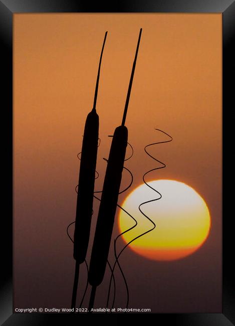 Enchanting Bulrush Sunset Framed Print by Dudley Wood