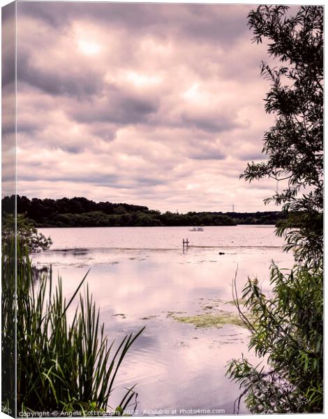 Reflected Clouds Canvas Print by Angela Cottingham