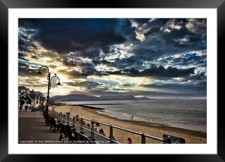 Lyme Regis sea front Framed Mounted Print by Ann Biddlecombe