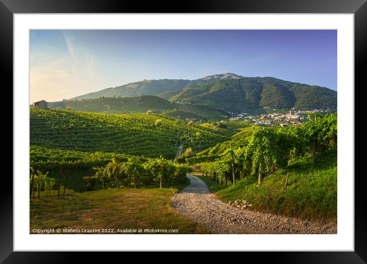 Vineyards and road. Prosecco Hills, Unesco Site. Valdobbiadene,  Framed Mounted Print by Stefano Orazzini