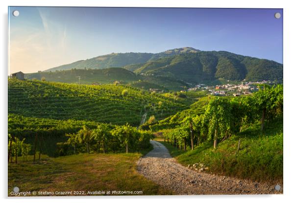 Vineyards and road. Prosecco Hills, Unesco Site. Valdobbiadene,  Acrylic by Stefano Orazzini