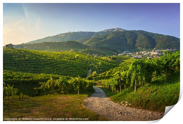 Vineyards and road. Prosecco Hills, Unesco Site. Valdobbiadene,  Print by Stefano Orazzini
